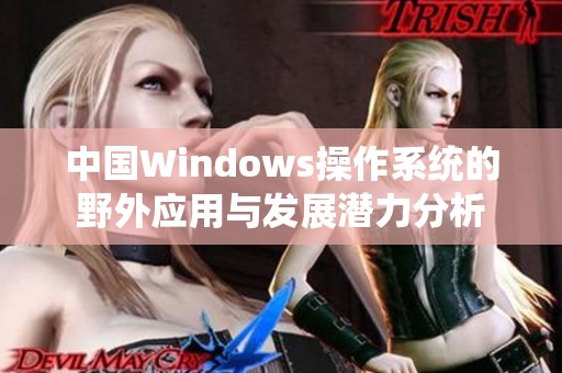 中国Windows操作系统的野外应用与发展潜力分析