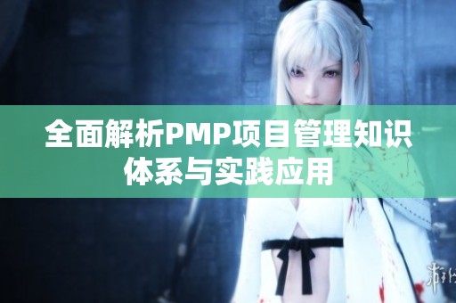 全面解析PMP项目管理知识体系与实践应用