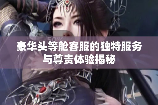 豪华头等舱客服的独特服务与尊贵体验揭秘