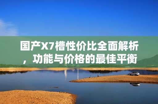 国产X7槽性价比全面解析，功能与价格的最佳平衡