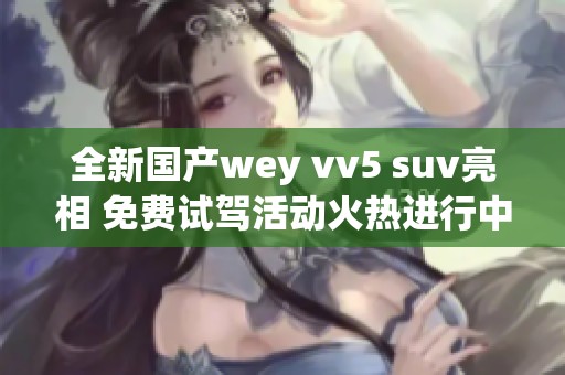 全新国产wey vv5 suv亮相 免费试驾活动火热进行中