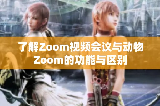 了解Zoom视频会议与动物Zoom的功能与区别