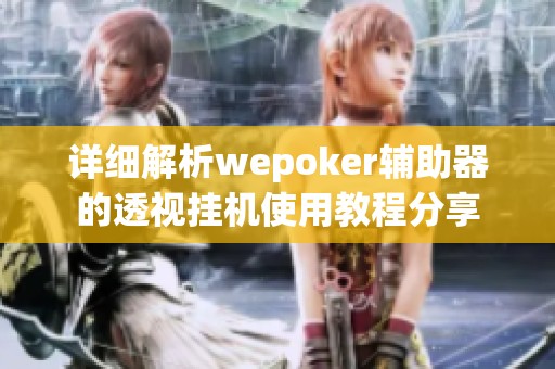 详细解析wepoker辅助器的透视挂机使用教程分享