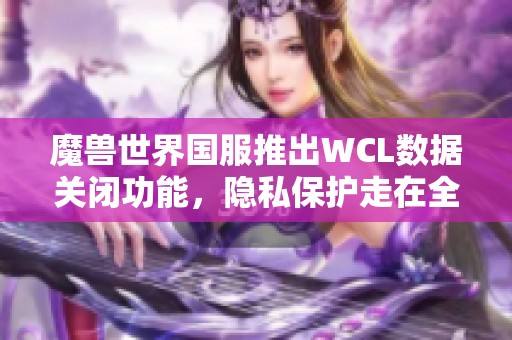 魔兽世界国服推出WCL数据关闭功能，隐私保护走在全球前列