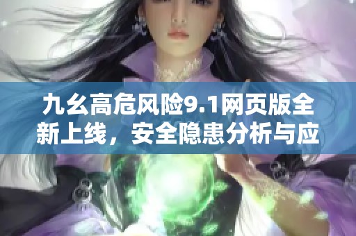 九幺高危风险9.1网页版全新上线，安全隐患分析与应对策略