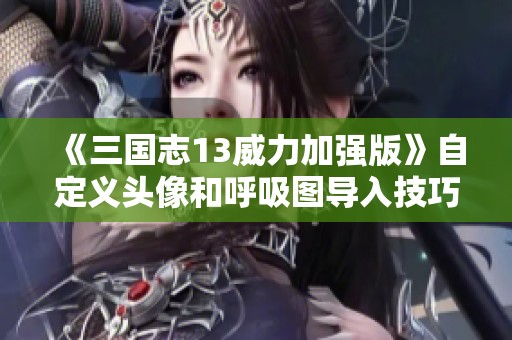 《三国志13威力加强版》自定义头像和呼吸图导入技巧分享