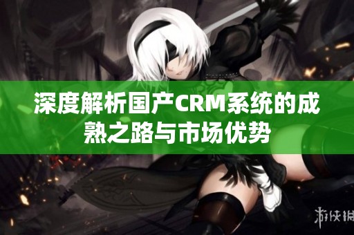 深度解析国产CRM系统的成熟之路与市场优势