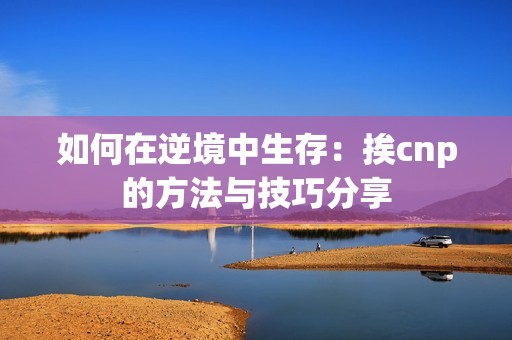 如何在逆境中生存：挨cnp的方法与技巧分享