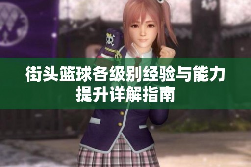 街头篮球各级别经验与能力提升详解指南