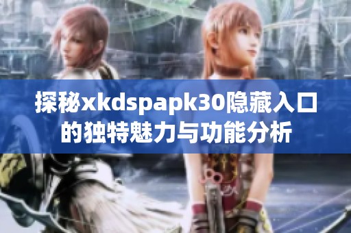 探秘xkdspapk30隐藏入口的独特魅力与功能分析