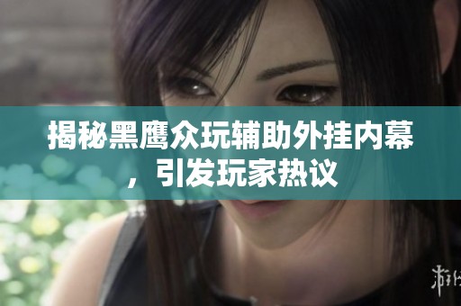 揭秘黑鹰众玩辅助外挂内幕，引发玩家热议