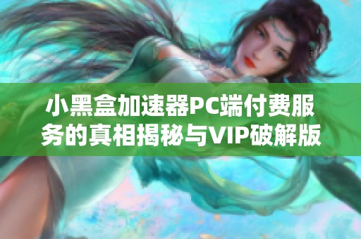 小黑盒加速器PC端付费服务的真相揭秘与VIP破解版介绍