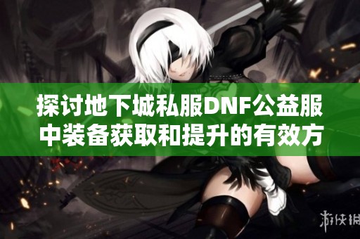 探讨地下城私服DNF公益服中装备获取和提升的有效方法