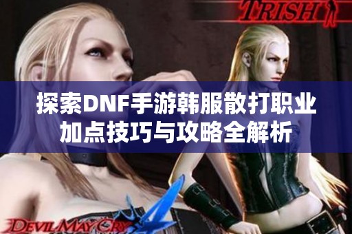 探索DNF手游韩服散打职业加点技巧与攻略全解析