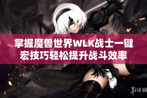 掌握魔兽世界WLK战士一键宏技巧轻松提升战斗效率