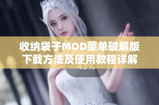 收纳袋子MOD菜单破解版下载方法及使用教程详解