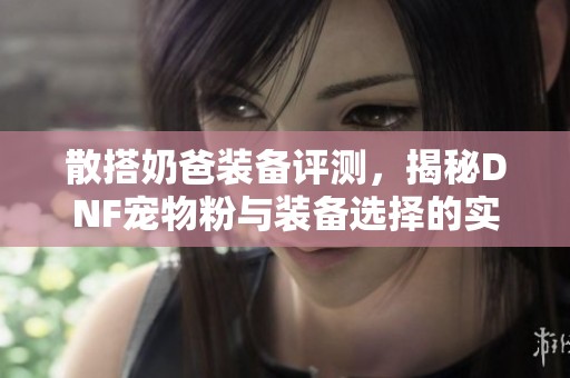 散搭奶爸装备评测，揭秘DNF宠物粉与装备选择的实力与优势