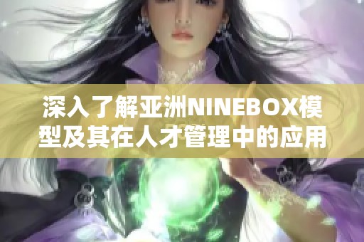 深入了解亚洲NINEBOX模型及其在人才管理中的应用