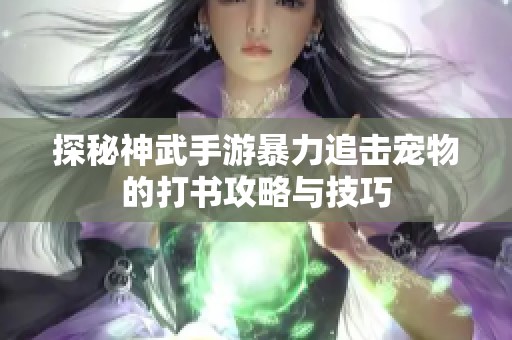 探秘神武手游暴力追击宠物的打书攻略与技巧