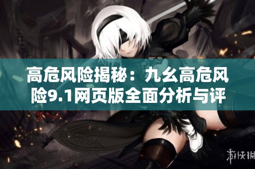 高危风险揭秘：九幺高危风险9.1网页版全面分析与评估
