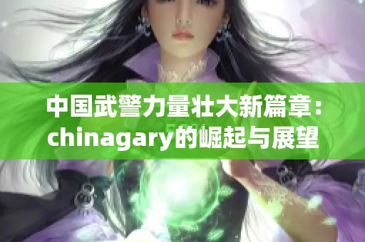 中国武警力量壮大新篇章：chinagary的崛起与展望