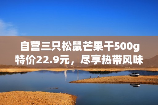 自营三只松鼠芒果干500g特价22.9元，尽享热带风味美食