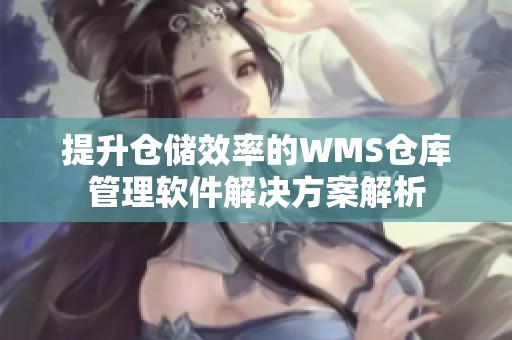 提升仓储效率的WMS仓库管理软件解决方案解析