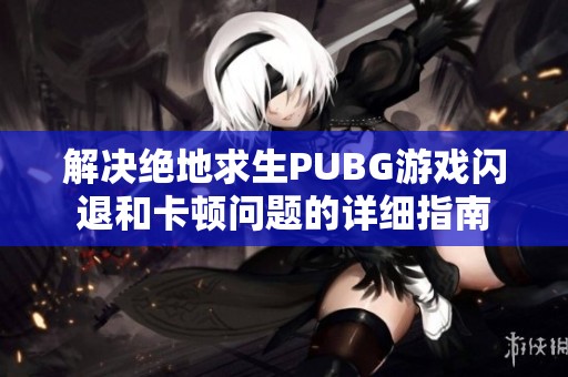 解决绝地求生PUBG游戏闪退和卡顿问题的详细指南