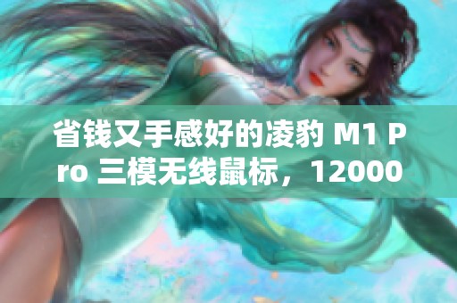 省钱又手感好的凌豹 M1 Pro 三模无线鼠标，12000 DPI畅玩体验