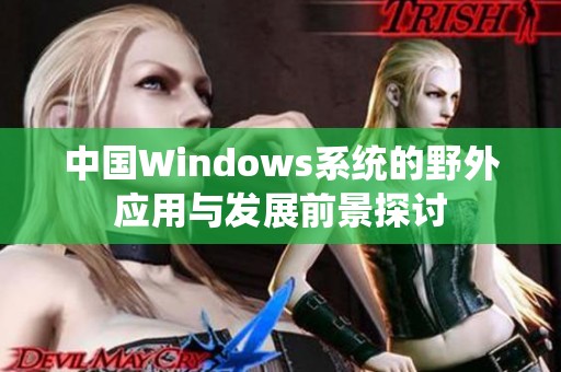 中国Windows系统的野外应用与发展前景探讨