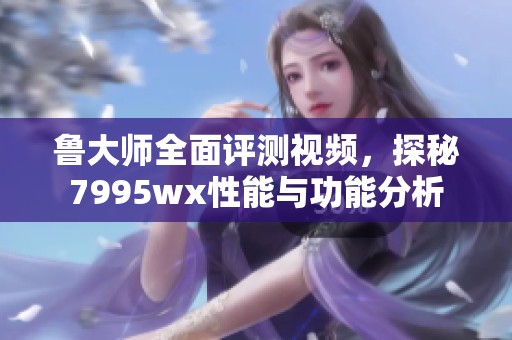 鲁大师全面评测视频，探秘7995wx性能与功能分析