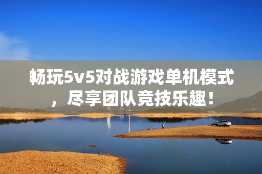 畅玩5v5对战游戏单机模式，尽享团队竞技乐趣！