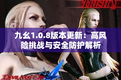 九幺1.0.8版本更新：高风险挑战与安全防护解析