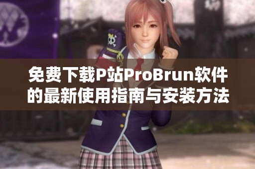 免费下载P站ProBrun软件的最新使用指南与安装方法