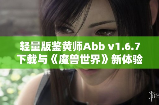 轻量版鉴黄师Abb v1.6.7下载与《魔兽世界》新体验分享