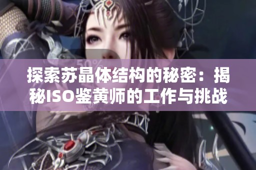 探索苏晶体结构的秘密：揭秘ISO鉴黄师的工作与挑战