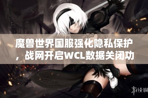 魔兽世界国服强化隐私保护，战网开启WCL数据关闭功能