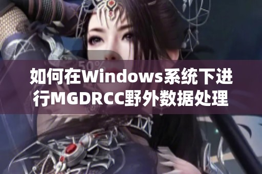 如何在Windows系统下进行MGDRCC野外数据处理与分析