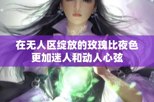 在无人区绽放的玫瑰比夜色更加迷人和动人心弦