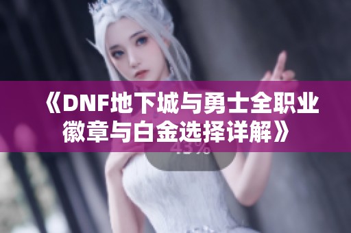 《DNF地下城与勇士全职业徽章与白金选择详解》