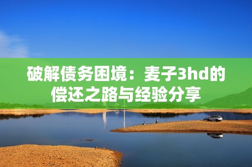 破解债务困境：麦子3hd的偿还之路与经验分享