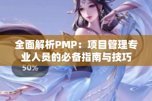 全面解析PMP：项目管理专业人员的必备指南与技巧