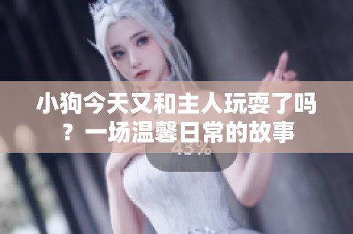 小狗今天又和主人玩耍了吗？一场温馨日常的故事