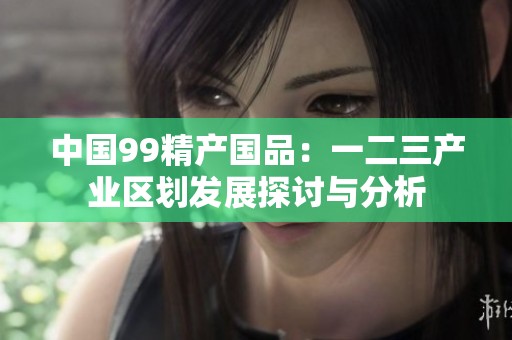 中国99精产国品：一二三产业区划发展探讨与分析