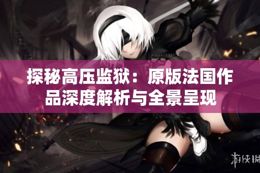 探秘高压监狱：原版法国作品深度解析与全景呈现