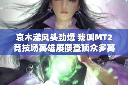 哀木涕风头劲爆 我叫MT2竞技场英雄屡屡登顶众多英雄助力称霸乐趣无限