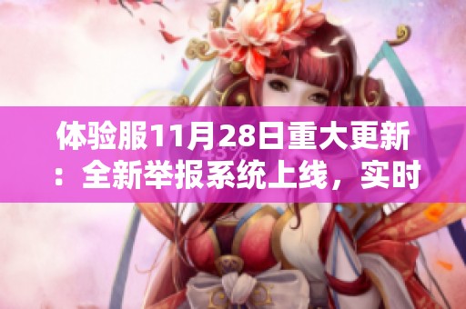 体验服11月28日重大更新：全新举报系统上线，实时监测与惩罚措施并加强补偿机制