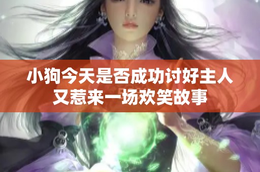 小狗今天是否成功讨好主人又惹来一场欢笑故事