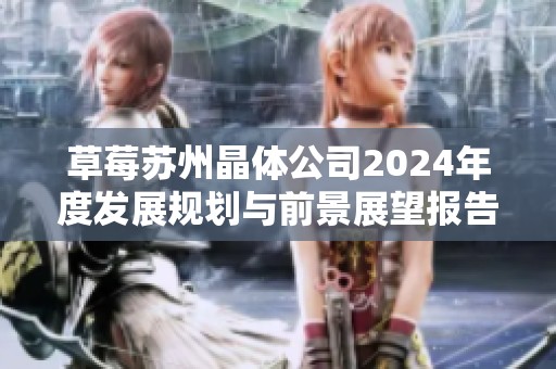 草莓苏州晶体公司2024年度发展规划与前景展望报告