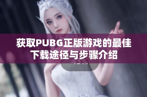 获取PUBG正版游戏的最佳下载途径与步骤介绍